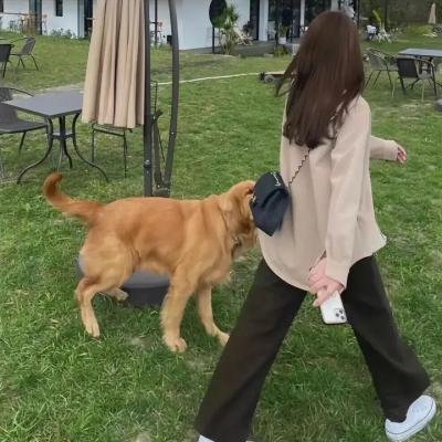 变形计第二季